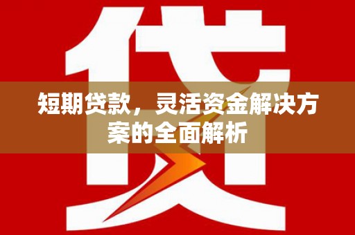 乐清短期贷款，灵活资金解决方案的全面解析