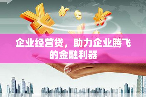 乐清企业经营贷，助力企业腾飞的金融利器