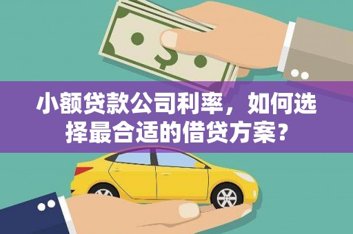 乐清小额贷款公司利率，如何选择最合适的借贷方案？