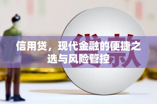 乐清信用贷，现代金融的便捷之选与风险管控