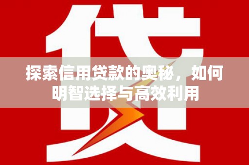 乐清探索信用贷款的奥秘，如何明智选择与高效利用