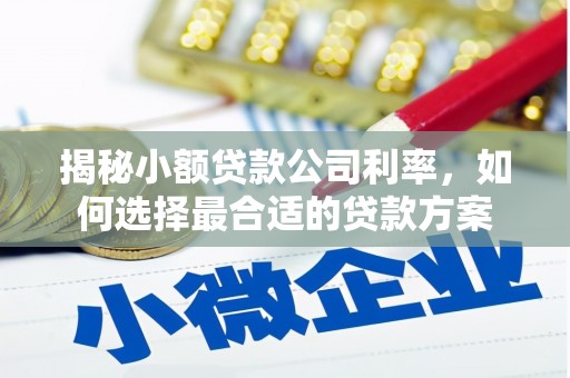 乐清揭秘小额贷款公司利率，如何选择最合适的贷款方案