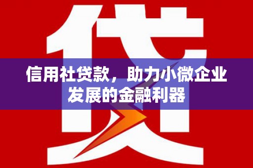 乐清信用社贷款，助力小微企业发展的金融利器
