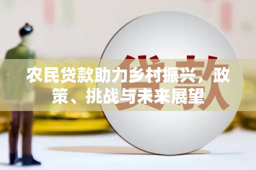 乐清农民贷款助力乡村振兴，政策、挑战与未来展望