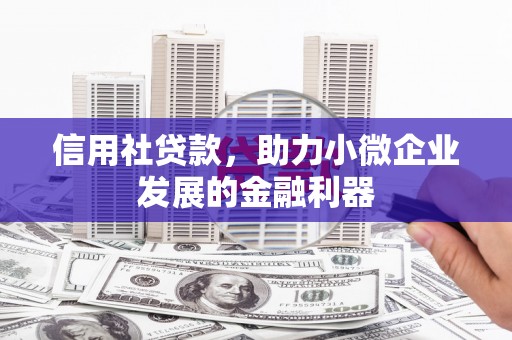 乐清信用社贷款，助力小微企业发展的金融利器