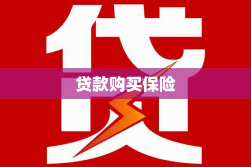 乐清贷款购买保险