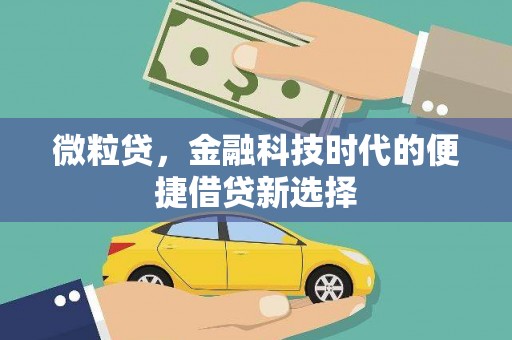 乐清微粒贷，金融科技时代的便捷借贷新选择
