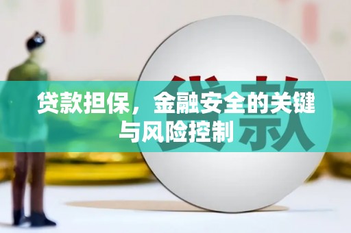 乐清贷款担保，金融安全的关键与风险控制