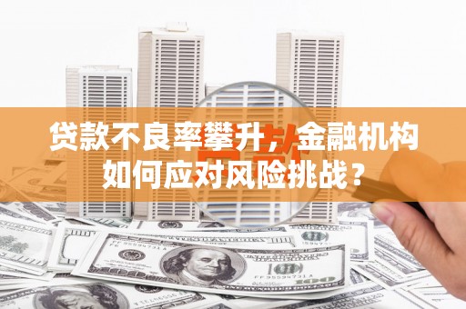 乐清贷款不良率攀升，金融机构如何应对风险挑战？