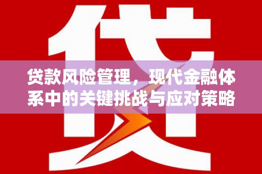 乐清贷款风险管理，现代金融体系中的关键挑战与应对策略