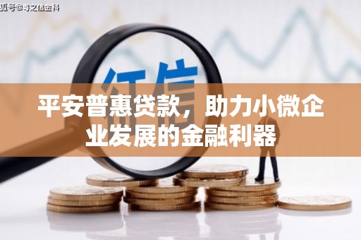 乐清平安普惠贷款，助力小微企业发展的金融利器