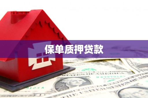 乐清保单质押贷款