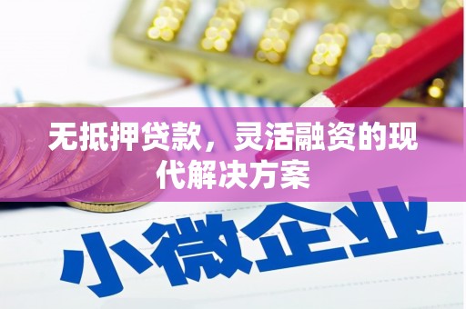 乐清无抵押贷款，灵活融资的现代解决方案