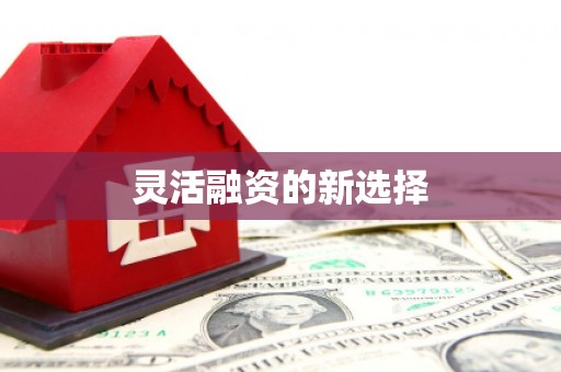 乐清灵活融资的新选择