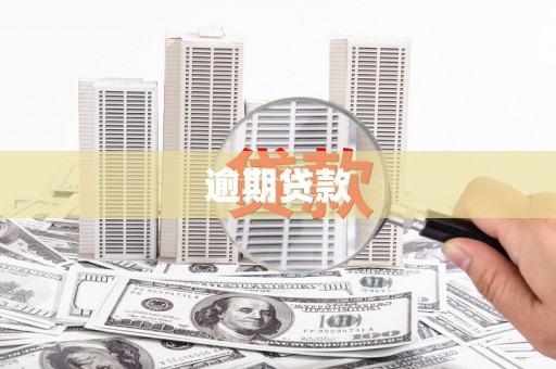 乐清逾期贷款