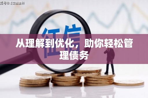 乐清从理解到优化，助你轻松管理债务