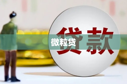 乐清微粒贷