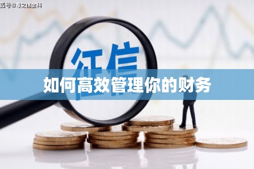 乐清如何高效管理你的财务
