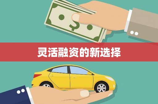 乐清灵活融资的新选择