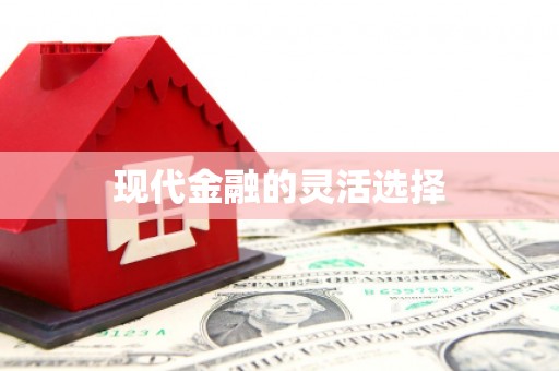 乐清现代金融的灵活选择