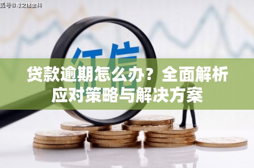 乐清贷款逾期怎么办？全面解析应对策略与解决方案