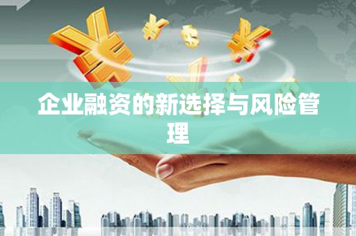 乐清企业融资的新选择与风险管理
