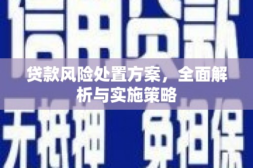 乐清贷款风险处置方案，全面解析与实施策略