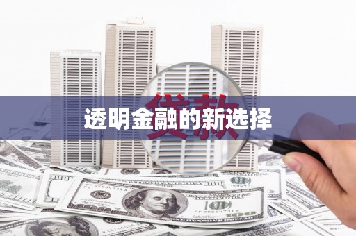 乐清透明金融的新选择