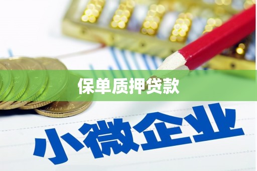 乐清保单质押贷款