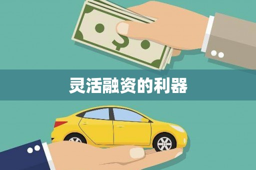 乐清灵活融资的利器