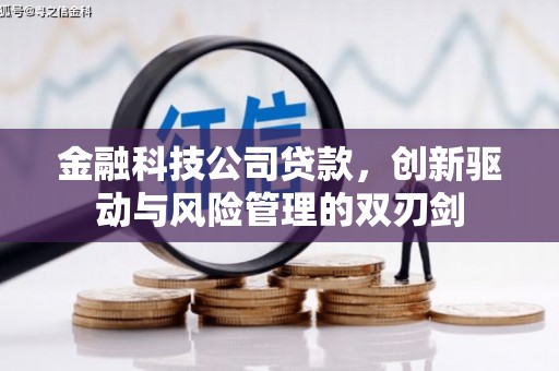 乐清金融科技公司贷款，创新驱动与风险管理的双刃剑