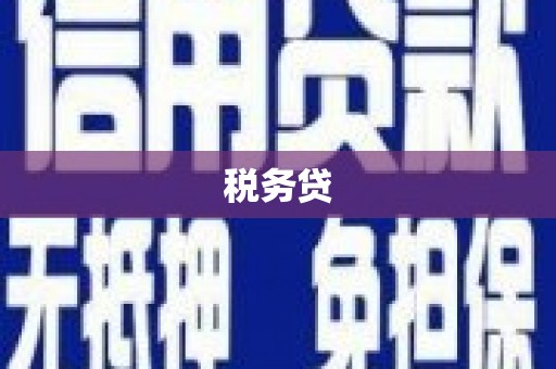 乐清税务贷